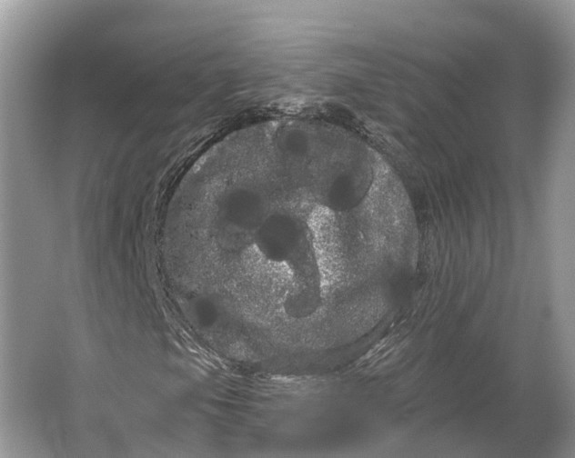 X0000066121105200603241603