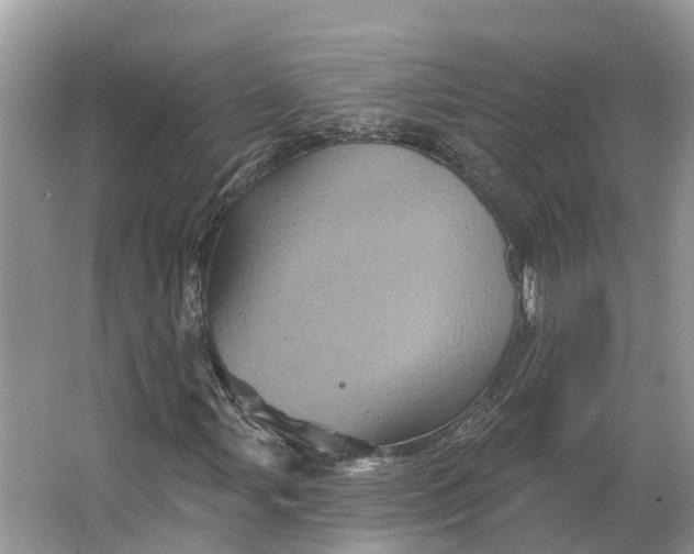 X0000066121107200603241603