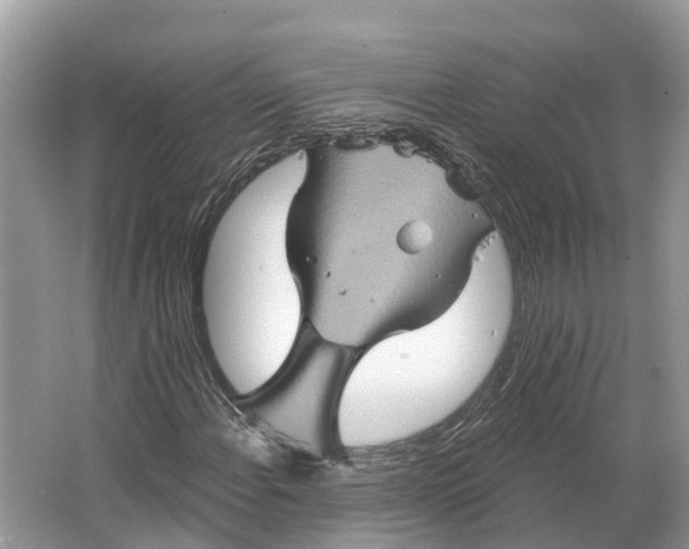 X0000066121108200603241603