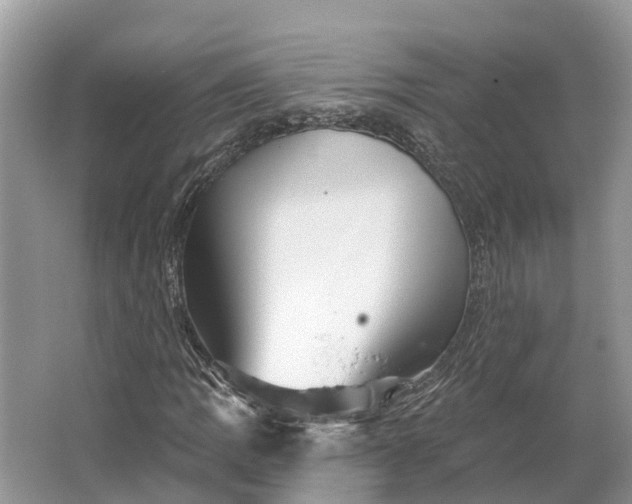 X0000066121109200603241603