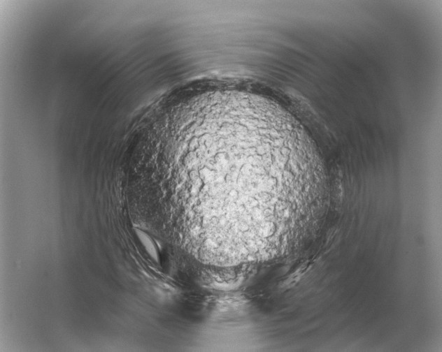 X0000066121110200603241603