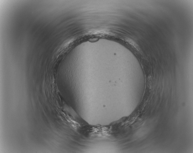 X0000066121111200603241603