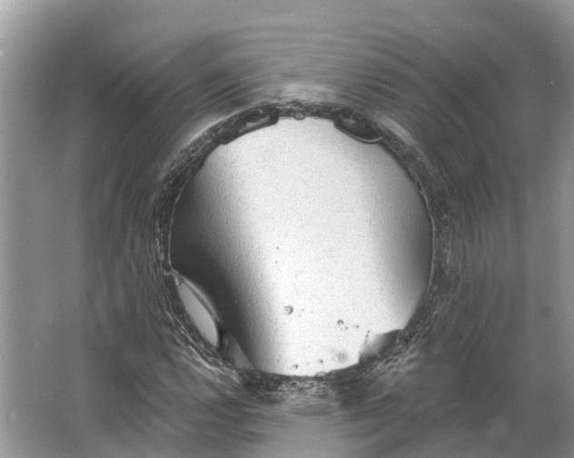 X0000066121112200603241603