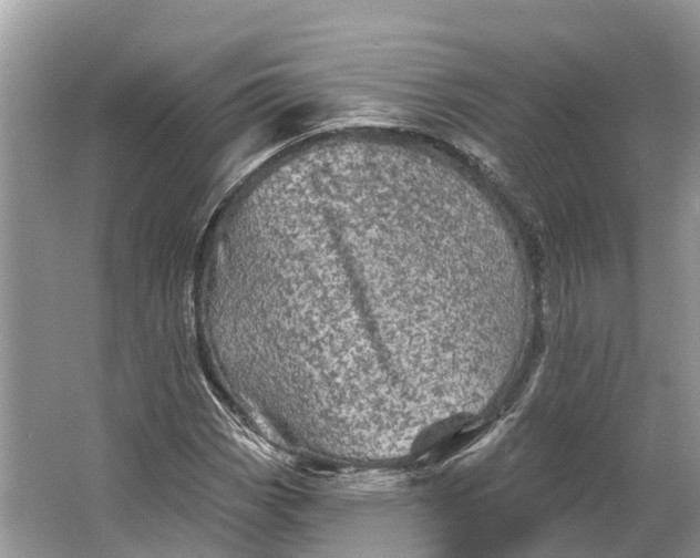 X0000066121113200603241603