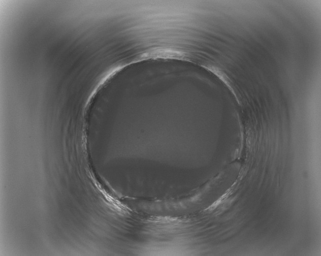 X0000066121115200603241603