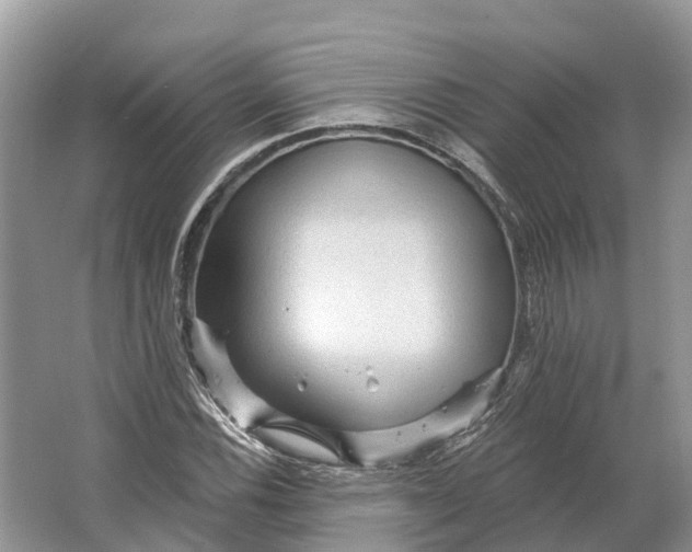 X0000066121116200603241603