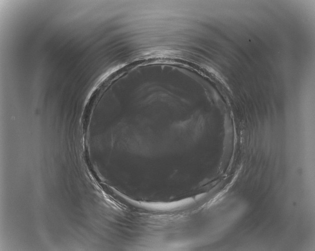 X0000066121117200603241603