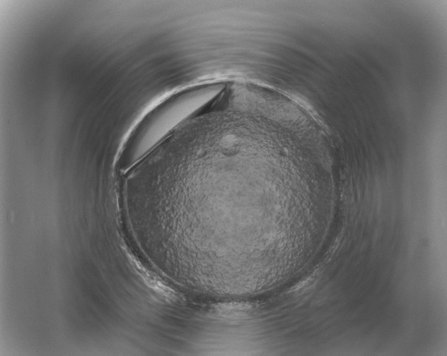 X0000066121118200603241603