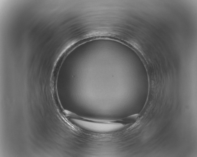 X0000066121119200603241603