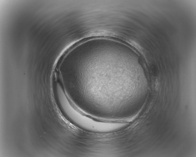 X0000066121120200603241603