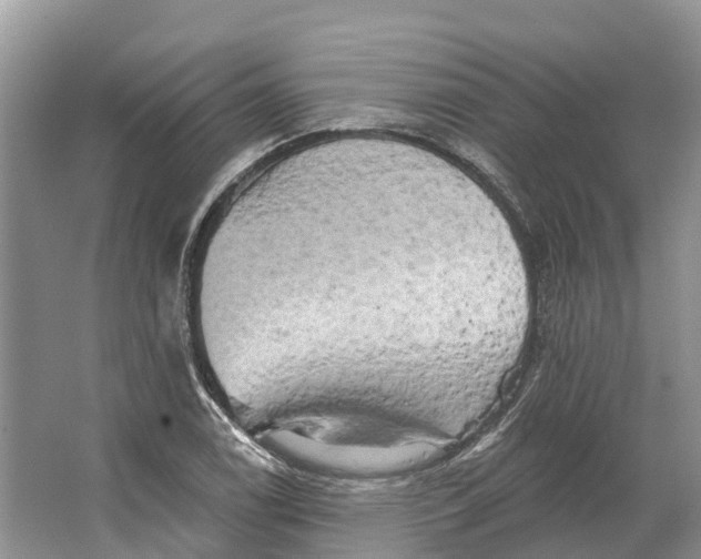 X0000066121122200603241603