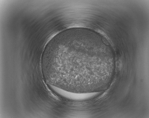 X0000066121129200603241603