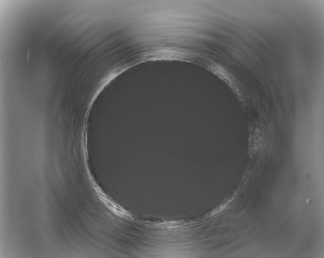 X0000066121130200603241603