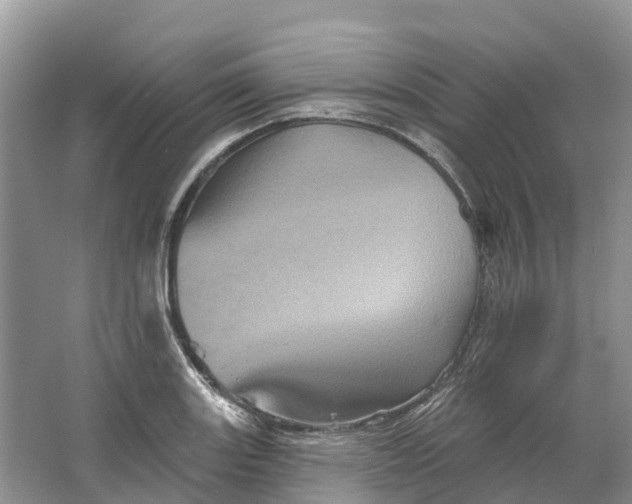 X0000066121131200603241603