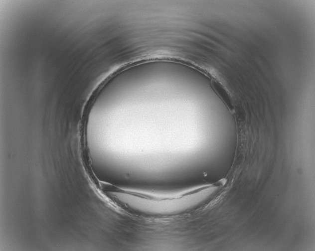 X0000066121134200603241603