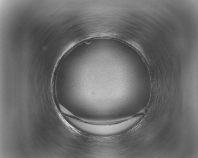 X0000066121135200603241603