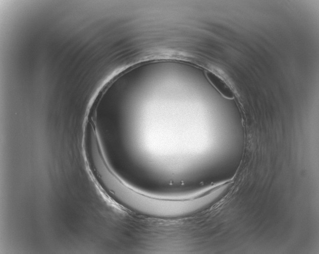 X0000066121136200603241603