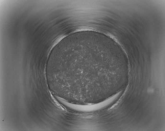 X0000066121137200603241603