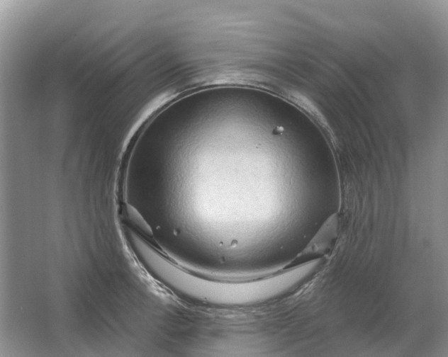 X0000066121138200603241603