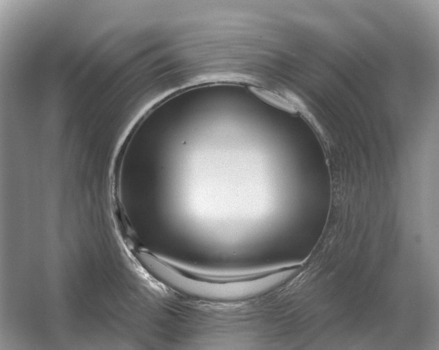 X0000066121140200603241603