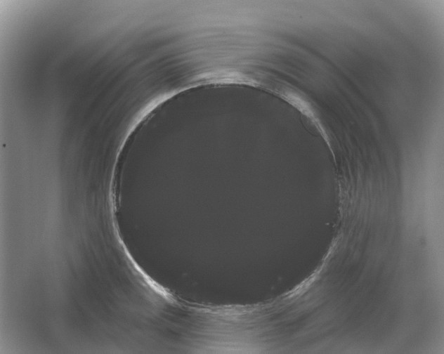 X0000066121141200603241603