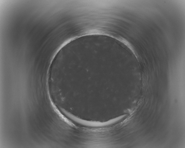 X0000066121142200603241603