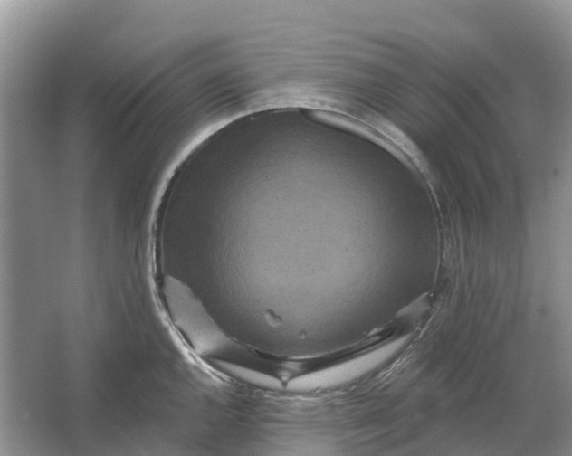 X0000066121144200603241603