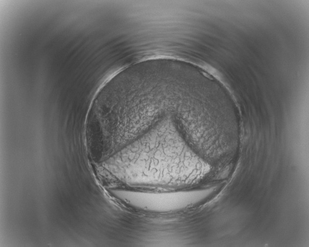 X0000066121145200603241603