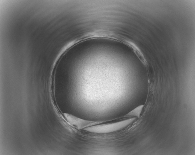 X0000066121146200603241603