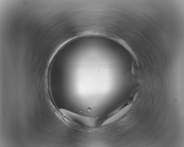 X0000066121148200603241603