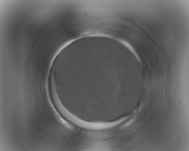 X0000066121149200603241603