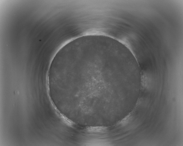 X0000066121150200603241603