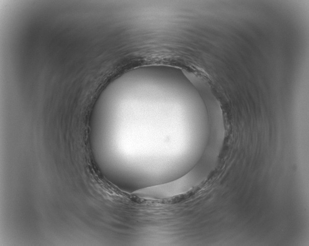 X0000066121153200603241603