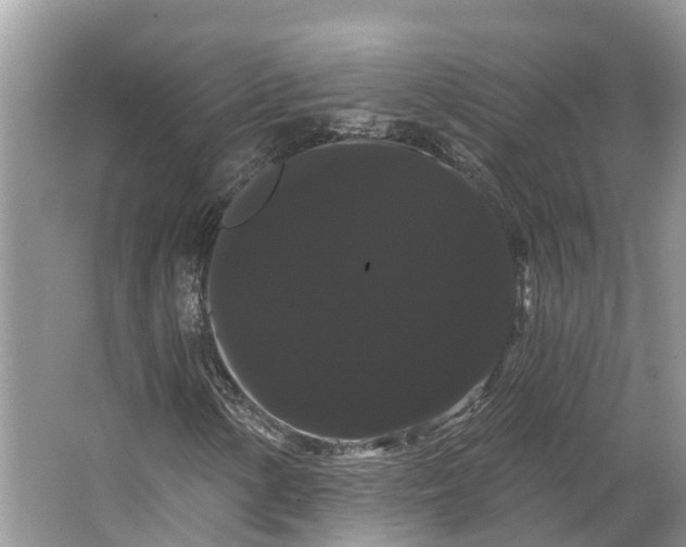 X0000066121154200603241603