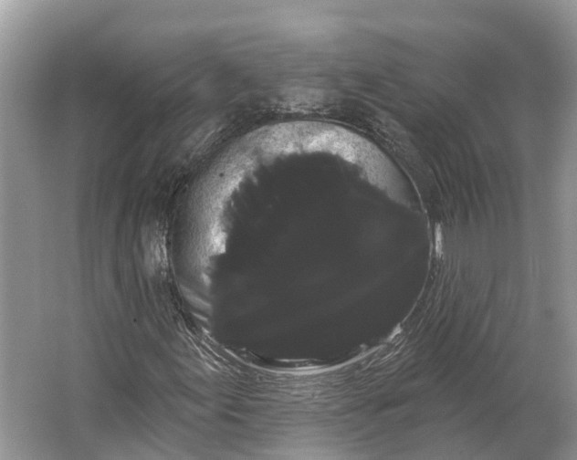 X0000066121155200603241603