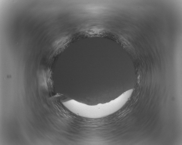 X0000066121156200603241602