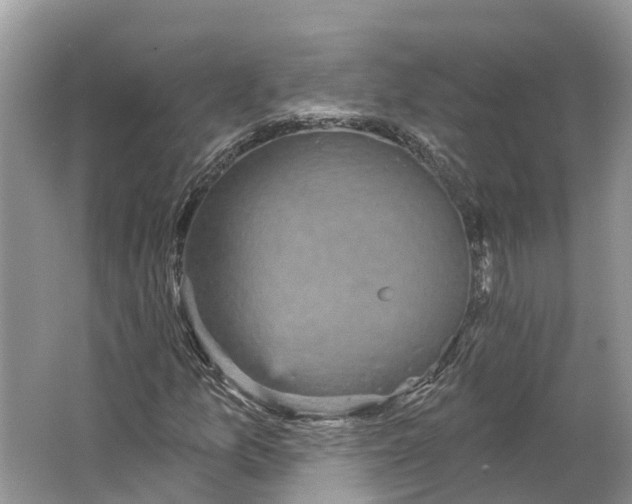 X0000066121157200603241602