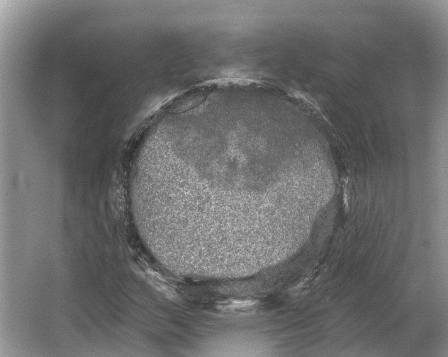 X0000066121159200603241602