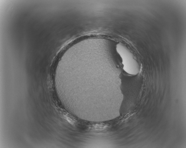 X0000066121160200603241602