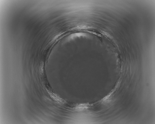 X0000066121161200603241602