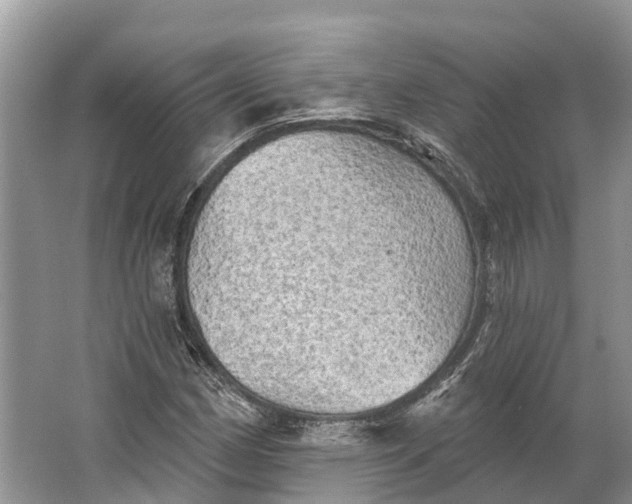 X0000066121162200603241602