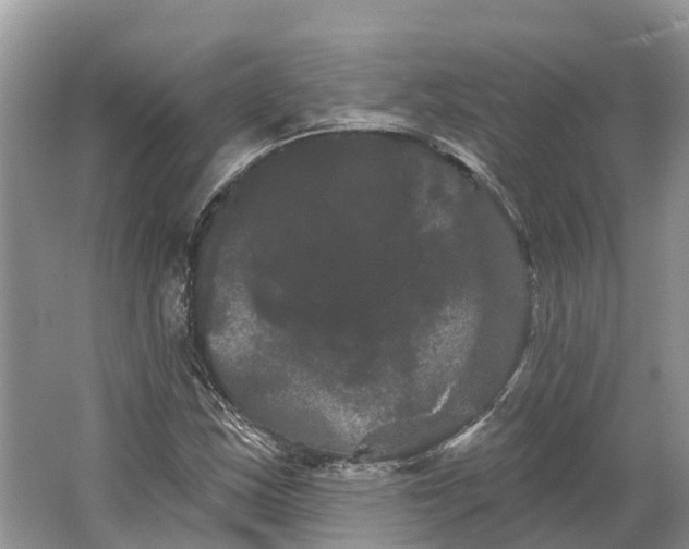 X0000066121163200603241602