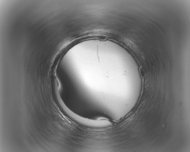 X0000066121164200603241602