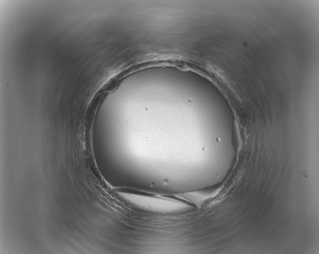 X0000066121165200603241602