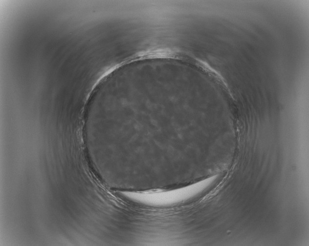 X0000066121166200603241602