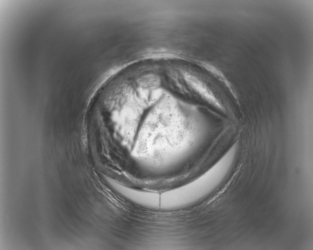 X0000066121167200603241602