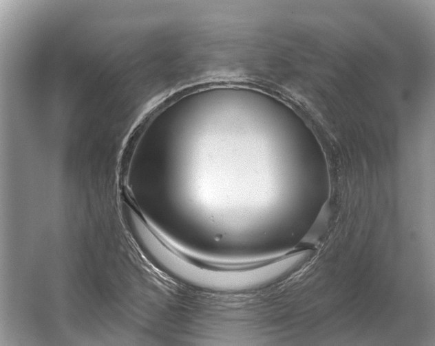 X0000066121168200603241602