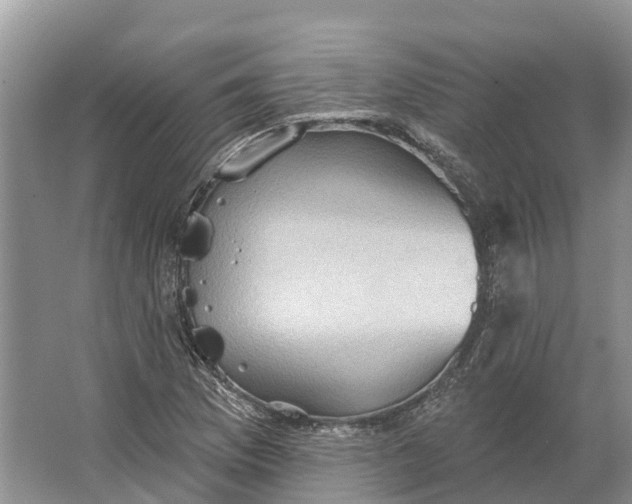 X0000066121169200603241602