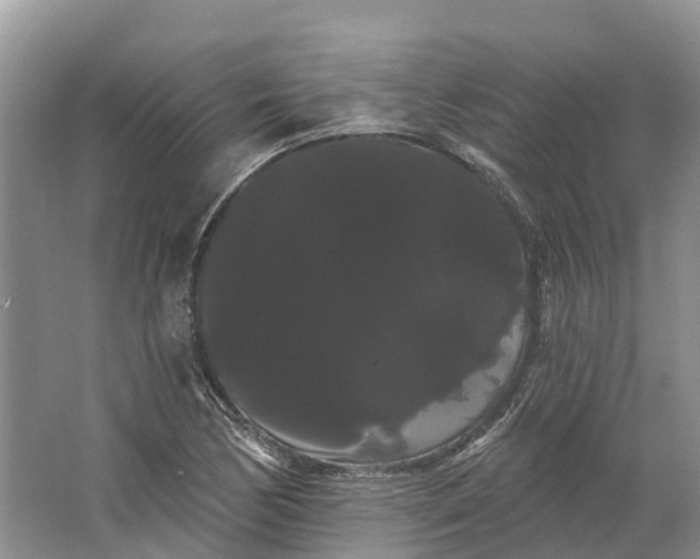 X0000066121170200603241602