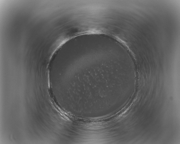 X0000066121171200603241602